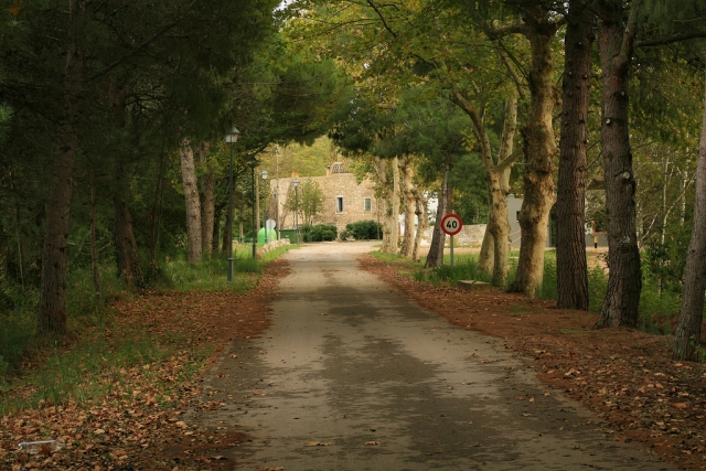  Visite guidate in Navarra 